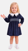 Baby Girl Celeste Collection Velvet Dress